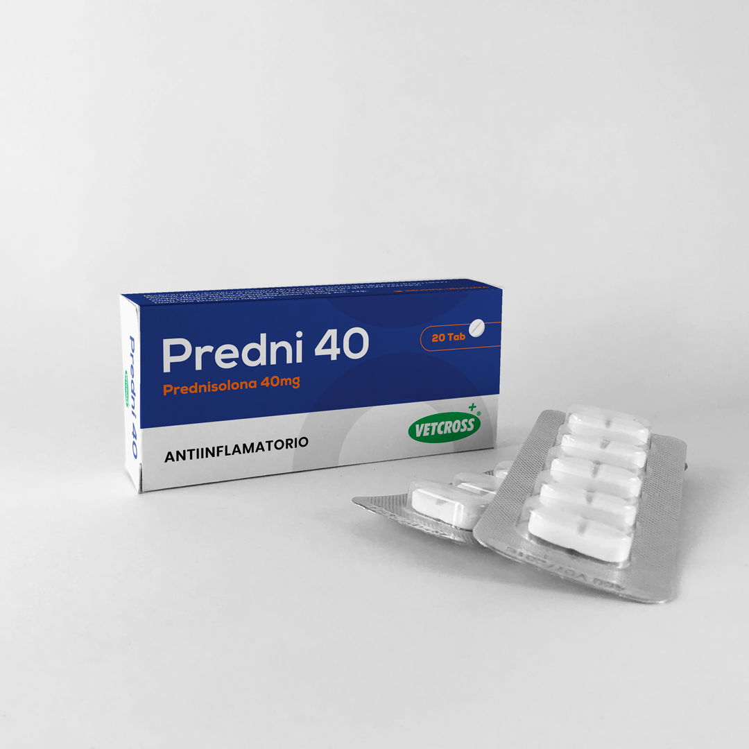 Predni 40 Tabletas