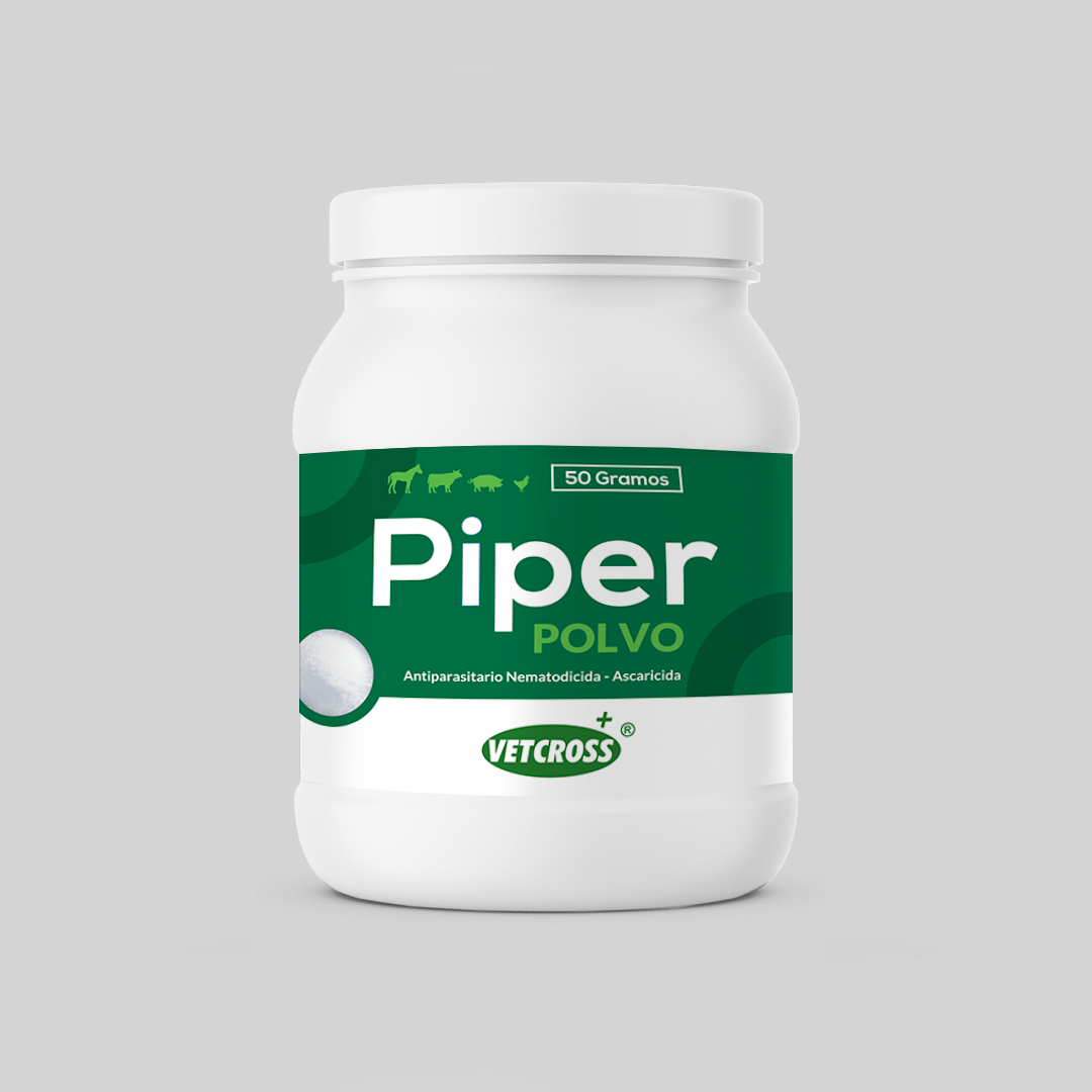 Piper Polvo